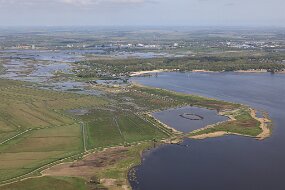 IMG_3643
