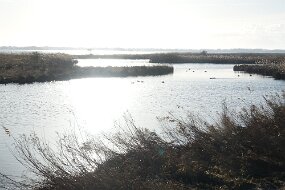 DSC01743