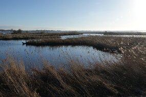 DSC01748