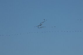 IMG_9307