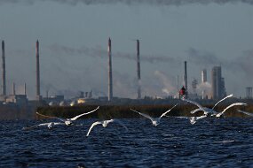 IMG_9322