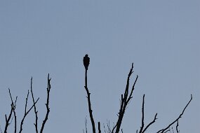 IMG_9412