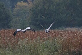IMG_0057