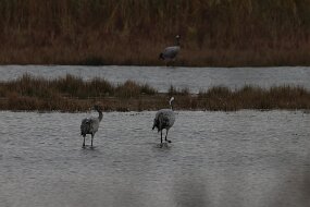 IMG_0084