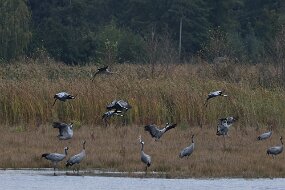 IMG_0094